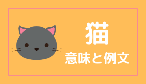 中国語 猫 の意味と解説 おはチャイ